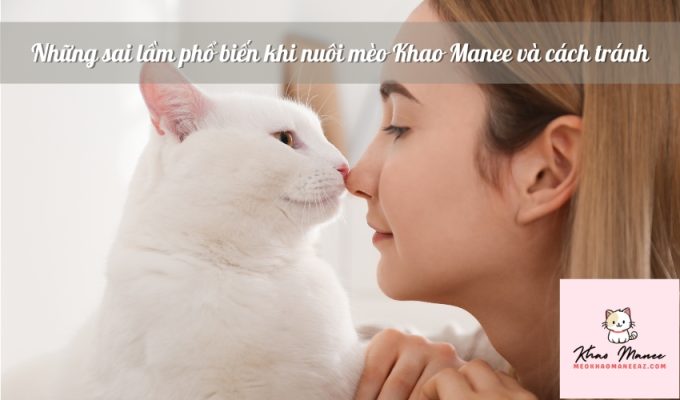 Những sai lầm phổ biến khi nuôi mèo Khao Manee và cách tránh